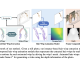 AI Researchers from Bytedance and the King Abdullah University of Science and Technology Present a Novel Framework For Animating Hair Blowing in Still Portrait Photos