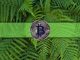Will Bitcoin's 4% Weekend Surge to $28K Lead to More Gains This Week?