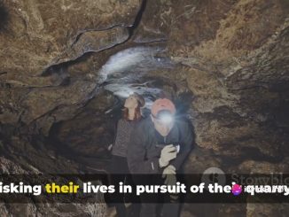 3D Animation of Rot mining"Unearthing Riches: The Ultimate Guide to Rot Mining Mastery"