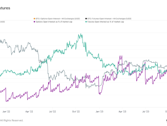 Bitcoin options market expands, overtakes futures open interest