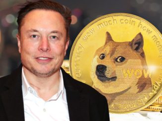 Dogecoin lawsuit Elon Musk