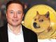 Dogecoin lawsuit Elon Musk