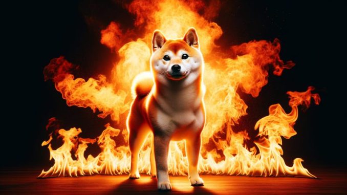 Shiba Inu burn
