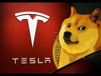 Tesla Dogecoin