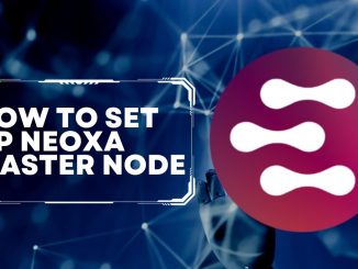 How To Set Up Neoxa Master Node
