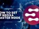 How To Set Up Neoxa Master Node