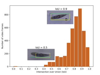 Researchers from the University of Oxford Developed a Deep Learning-Based Software for Precision Tracking of Fish Movement in Complex Environments