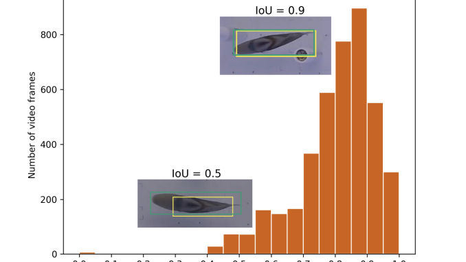Researchers from the University of Oxford Developed a Deep Learning-Based Software for Precision Tracking of Fish Movement in Complex Environments