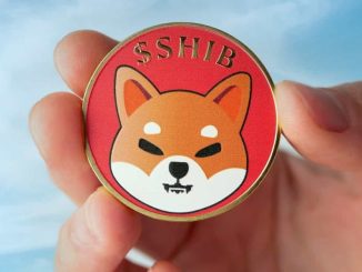 Shiba Inu