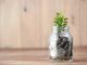 401K Market Poised To Enter Crypto ETFs