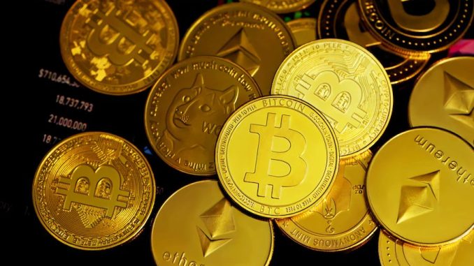 Crypto Euphoria