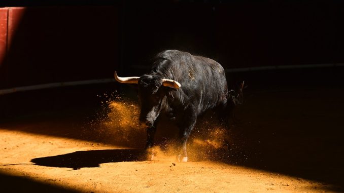 Bitcoin Bull