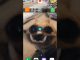 Я перехожу в Stick nodes #sticknodes
