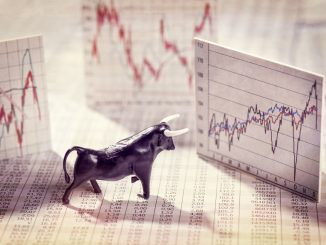 Bitcoin Bull