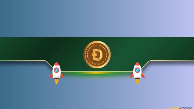This Metric Jumps by Almost 100% Amid DOGE Price Rally