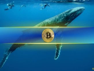 Are Bitcoin Whales Taking Profits?