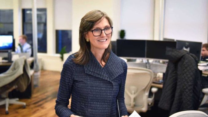 Cathie Wood's ARK Invest Accidentally Owns $15,000 Bitcoin Puppet
