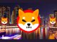 Shiba Inu