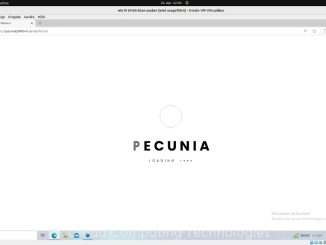 How to setup Anokas smartnode with pecuniaplatform.io