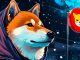 Shiba inu