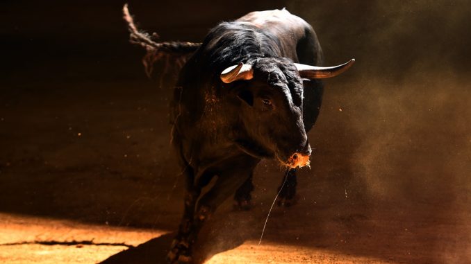Bitcoin Bull