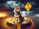 Shiba Inu warning