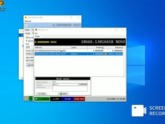 Earn NOSO - Setup Noso MasterNode on Windows