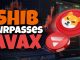 Shiba Inu Surpasses Avalanche in Market Cap | Crypto Market Guide