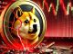 Dogecoin crash