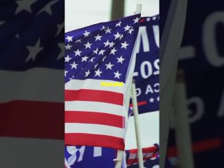 Crypto News: AI, Trump, and Whale Moves! #blockchaintrading #cryptocurrency #cryptonews #trading