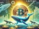 Bitcoin Large Players Hold 3.867M BTC – Metrics Reveal Whales Keep Growing