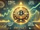 Fresh Capital Fuels Bitcoin Above $100K– On-Chain Indicator Sets Higher Cycle Top Price