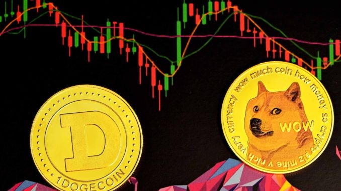 Dogecoin and Shiba Inu