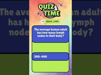 The average human adult has how many lymph nodes in their body