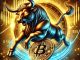 Bitcoin Bull