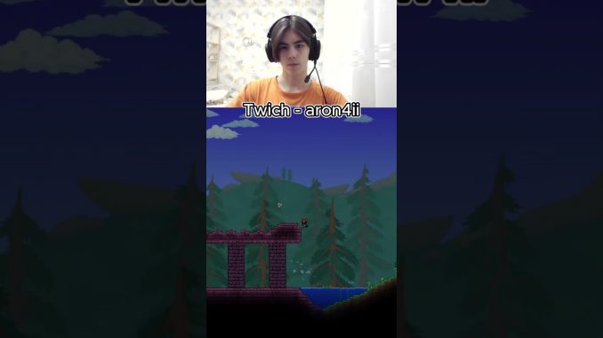 Утка, квакает? Twich - aron4ii | #twich #terraria #masternode