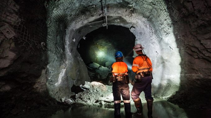 BitMine