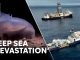 Deep sea mining has 'devastating' impact on biodiversity