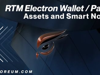 RTM Electron Wallet Part 4 / Assets and Smartnodes
