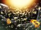 Two Dormant Casascius Coins Unlock $179M in BTC