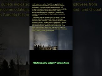 A B.C.-based mining firm, Vizsla Silver, reported that 10 individuals were abducted from its Panuco