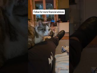 My Cat Has Passive Income at 2 Years Old… What Am I Doing Wrong?! 💸🐱