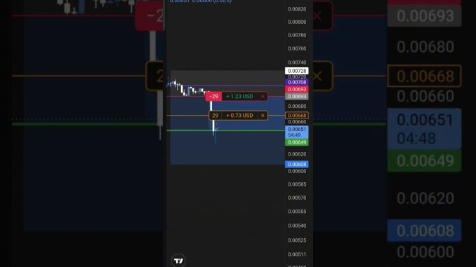 MiniTrader40 for beginners #crypto #coindcx #traditional #lovesong #btc #viralvideo #tranding