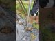 Self-made vegetable garden stake holder