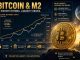Bitcoin M2