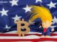 Trump Meme Team Moves $17M in TRUMP to Bitgo as Allocation Wallet Stirs Again